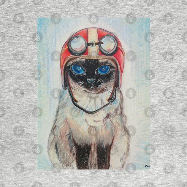 Aviator Cat by Novaart